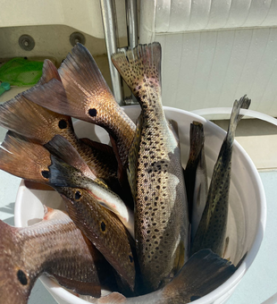 Outer Banks: where Trout anglers thrive